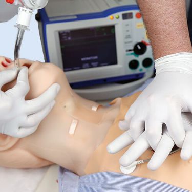 Hal Medical Simulator HAL S3101 Multipurpose Patient Simulator - Skills Meducation