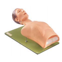 Torso voor sonderen en tracheostoma, grondplaat met klapstatief