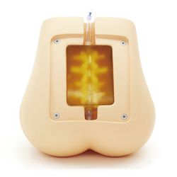 Ultrasound Compatible Lumbar Puncture / Epidural Simulator