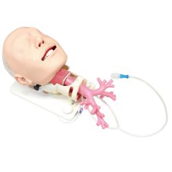 Difficult Airway Management Simulator for Fiberoptic Bronchoscopy