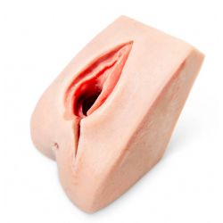 Perineal Suture Trainer