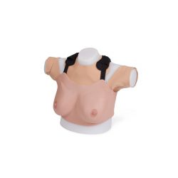 Breast Examiniation Trainer