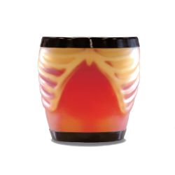 Ultrasound Examination Training Phantom "ABDFAN" full set