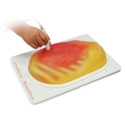 Breast Ultrasound Examination Phantom "BREAST FAN"