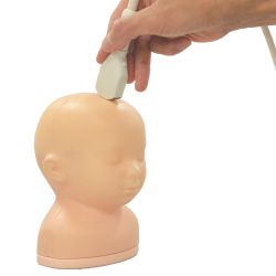 Ultrasound Neonatal Head Phantom (Normal type)