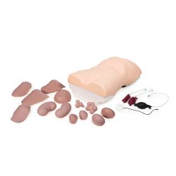 Abdominaal onderzoeksmodel