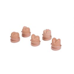 Rectal Examination Prostates (Set of 5)