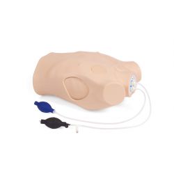 Chest drain & needle decompression trainer