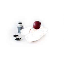 PPH-module van Limbs & Things voor de bevallingssimulator PROMPT Flex