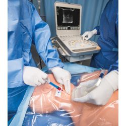 HAL® S1060 Critical Care Procedural Trainer