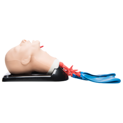 AirSim® Advance Bronchi X