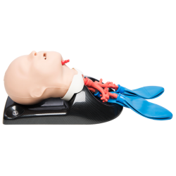 AirSim® Child Bronchi X