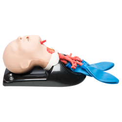 AirSim® Child Combo Bronchi X