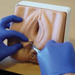 Episiotomie en perineumruptuur herstel trainer Outlet