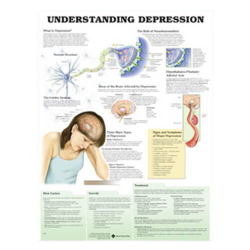 Wandplaat 'Understanding Depression'