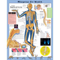 Wandplaat 'Your Skeleton'