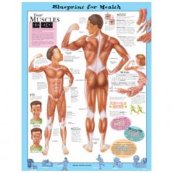 Wandplaat 'Your Muscles' 