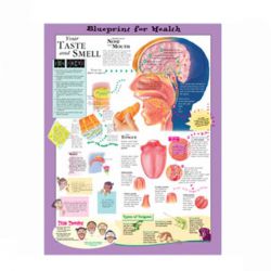 Wandplaat 'Your Taste and Smell'