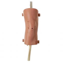 Artroscopie model kniegewricht