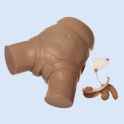 Katheterisatiemodel, PEG/SP/stoma/injectiekussen en decubitus