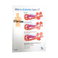 Wat is diabetes Type 2 ?  blok, verp. 1 stuks