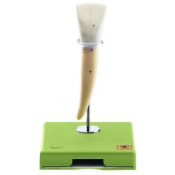 Snijtand onder, 8x vergroot, 2-delig