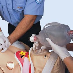 HAL® S3000 Prehospital and Nursing Care Patient Simulator