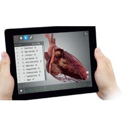 HeartWorks® Augmented Reality (AR) Trainingssysteem