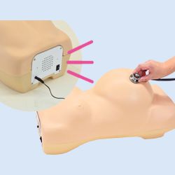 Obstetrisch Onderzoeksmodel