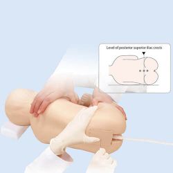 Pediatric Lumbar Puncture Simulator
