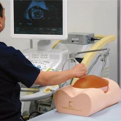 Foetus Echografie Training Model  