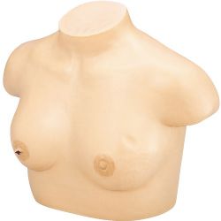 Borstkanker onderzoeksmodel