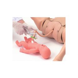  Full Body Zwangerschaps- en Geboortesimulator