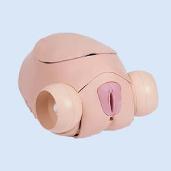 Surgical Female Pelvic Trainer Mk 2