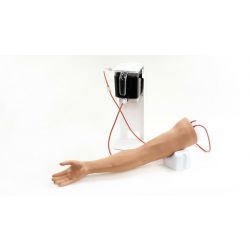 Standaard Venapunctie Arm - Lichte huidskleur