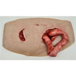 Buikwand met uitpuilende ingewanden, sleeve