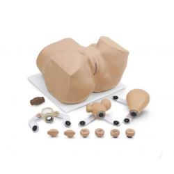 EVA Gynaecologisch trainingsmodel