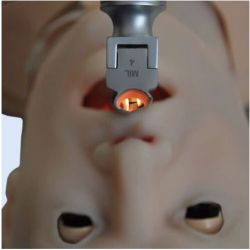 Surgical Cricoid Insert outlet