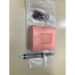 Lumbar Puncture / Epidural Trainer