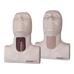 Cricotracheotomy Trainer