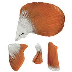 Kauwspieren voor QS 8/2, QS 8/3, QS 8/218 en QS 8/318