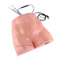 Femoral Nerve Block Trainer with Smarttissue