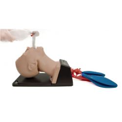 AirSim® Advance Bronchi X