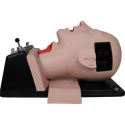 AirSim Difficult Airway