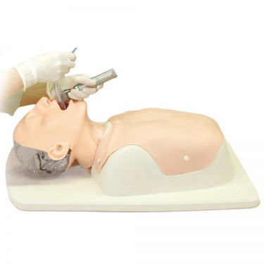 Difficult Airway Management Trainer