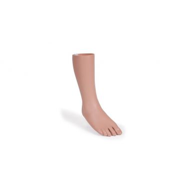 Foot & Ankle Skin (LT30100)