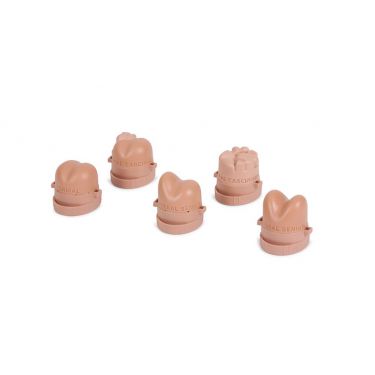 Rectal Examination Prostates (Set of 5)