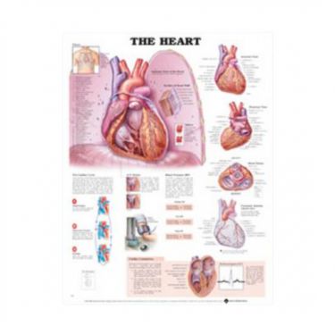 Wandplaat 'The Heart'