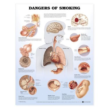 Wandplaat 'Dangers of Smoking' 