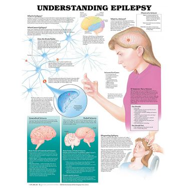 Wandplaat 'Understanding Epilepsy'